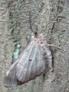 DSC00442.JPG