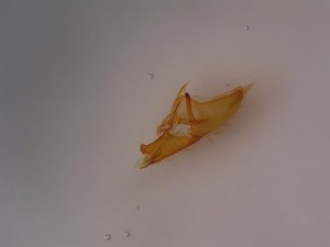 DSCN6240.JPG