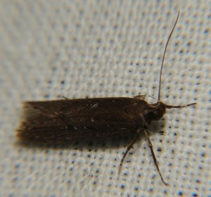 DSC02429.JPG