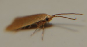 DSC02160.JPG