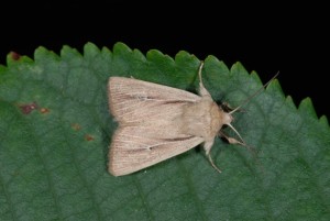 DSC_3105.JPG