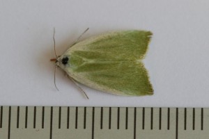 Copie de IMG_6266.jpg