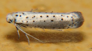 DSC02790.JPG