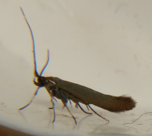 DSC02856.JPG