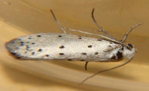 DSC02864.JPG