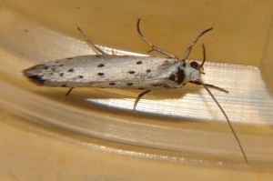 DSC02860.JPG