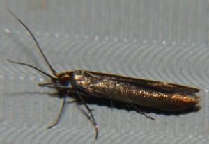 DSC02842.JPG