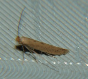 DSC02839.JPG