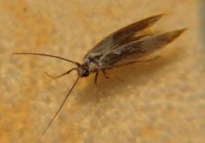 DSC02870.JPG