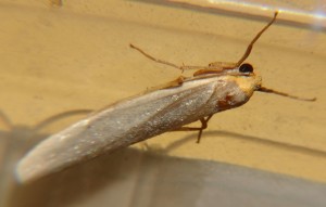DSC02845.JPG