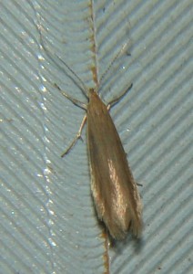 DSC02917.JPG