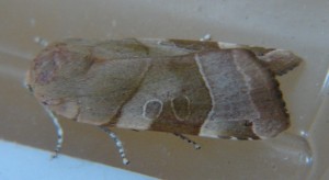 DSC03365.JPG