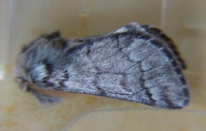 DSC03391.JPG