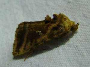 DSC01926.JPG