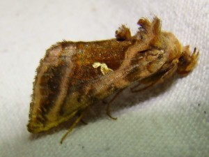 DSC01938.JPG