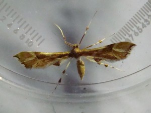 DSC02059.JPG