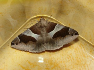 DSC03445.JPG