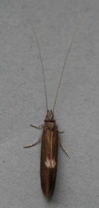 IMG_7728.jpg