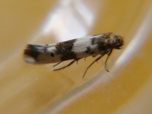 DSC03493.JPG