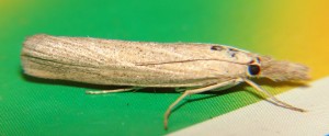 DSC03519.JPG