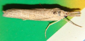 DSC03518.JPG