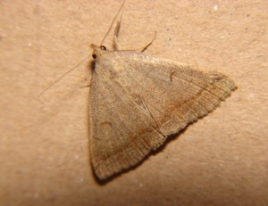 DSC03515.JPG