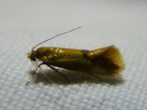 DSC02113.JPG