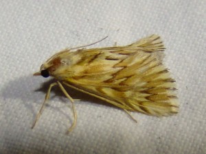 DSC02250.JPG