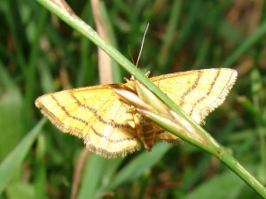 DSC03577.JPG