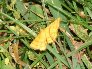 DSC03576.JPG