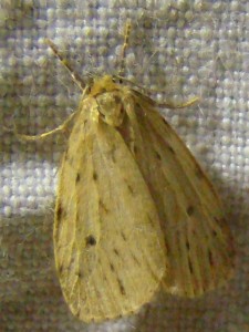 DSC02392.JPG