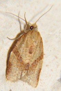 DSC03630.JPG