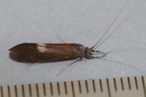 IMG_7723.jpg