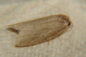 DSC03698.JPG
