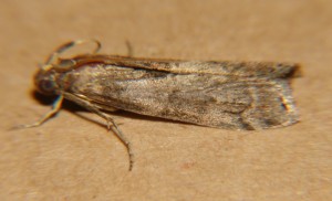 DSC03874.JPG