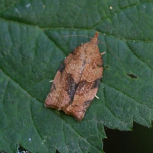 Copie de IMG_8022.jpg