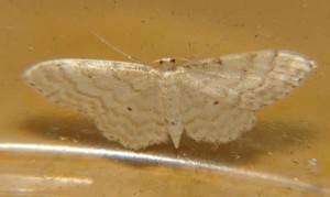 DSC04179.JPG