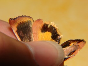 DSC04191.JPG