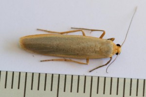 Copie de IMG_8058.jpg