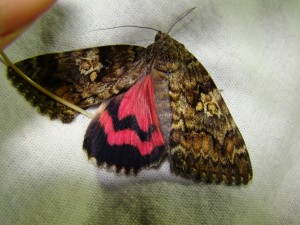 DSC03120.JPG
