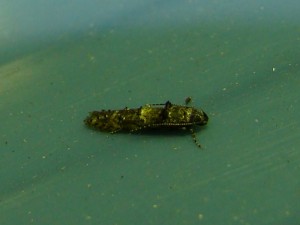 DSC03232.JPG