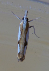 DSC04635.JPG