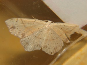 DSC04831.JPG