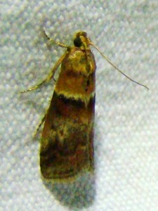 DSC01702.JPG