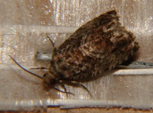 DSC04871.JPG
