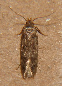 DSC04881.JPG