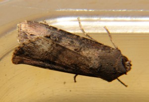 DSC04977.JPG