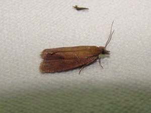 DSC03481.JPG