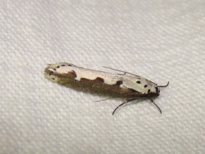 DSC03491.JPG