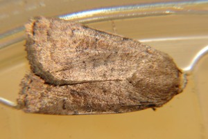 DSC05147.JPG
